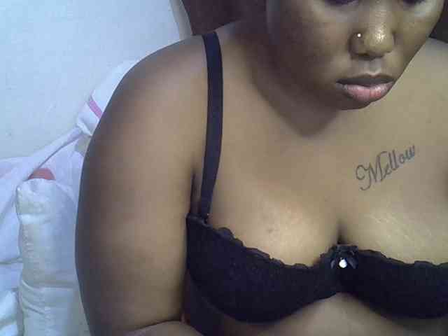 Casse-dellah webcam