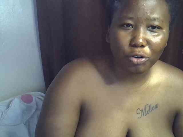Casse-dellah webcam