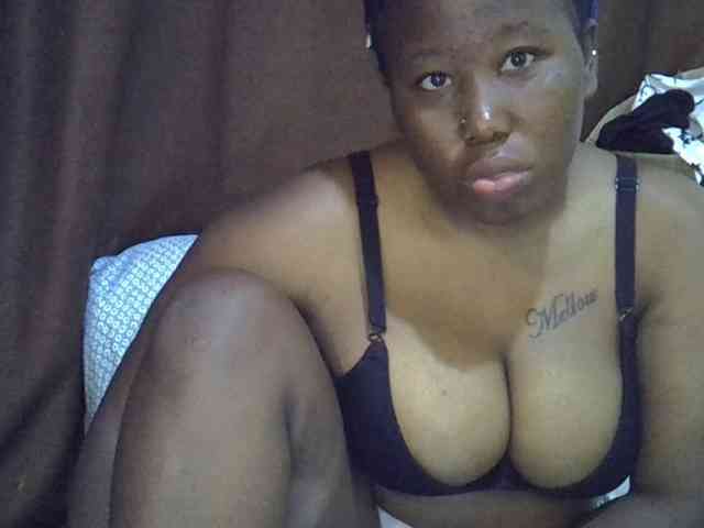 Casse-dellah webcam