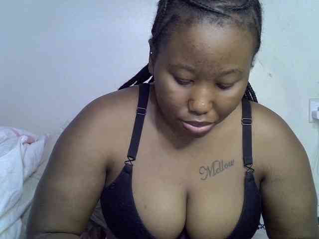 Casse-dellah webcam