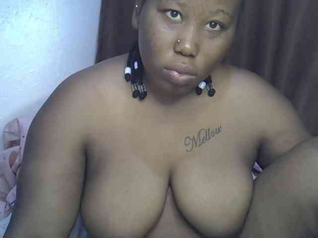Casse-dellah webcam