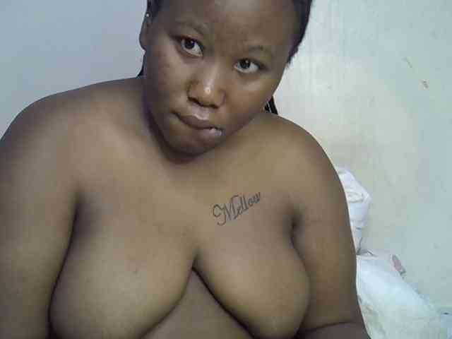 Casse-dellah webcam