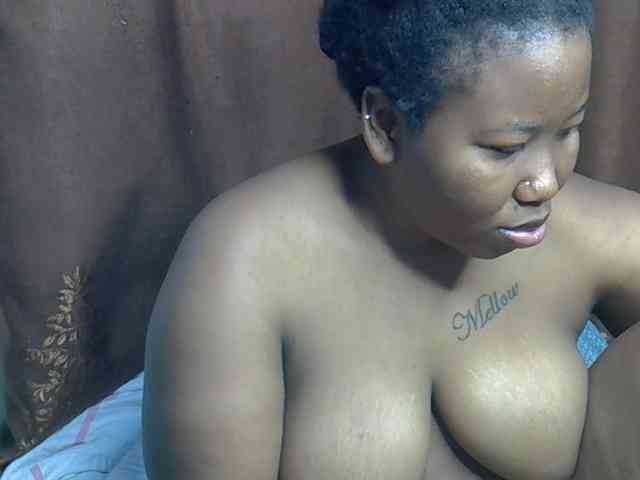 Casse-dellah webcam