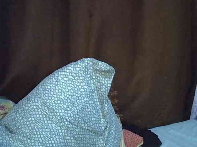 Casse-dellah webcam