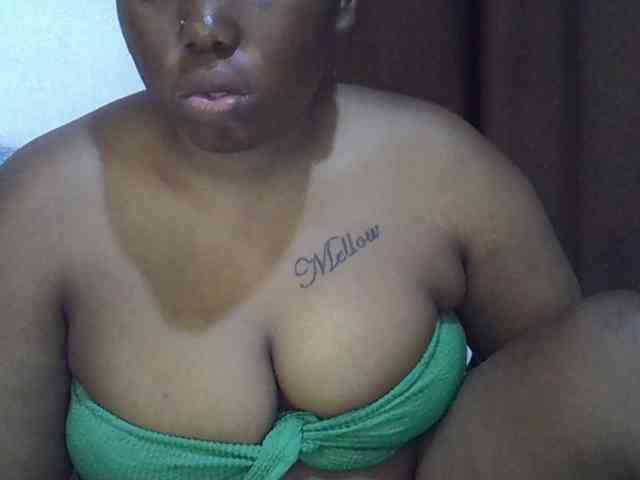 Casse-dellah webcam