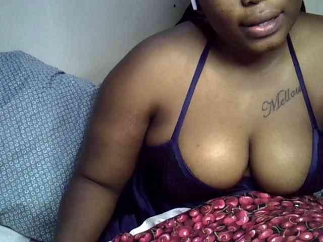 Casse-dellah webcam