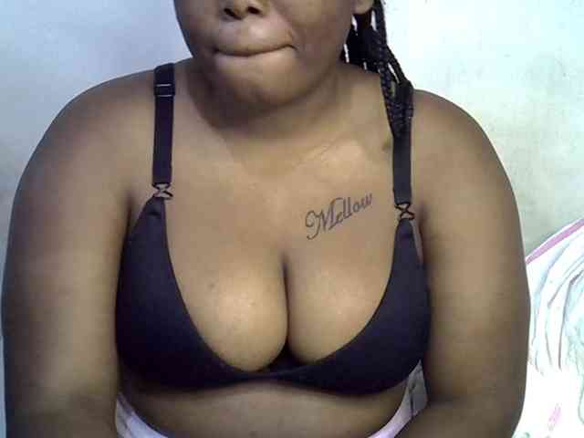 Casse-dellah webcam