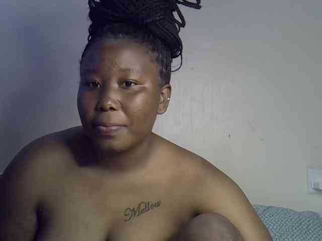 Casse-dellah webcam