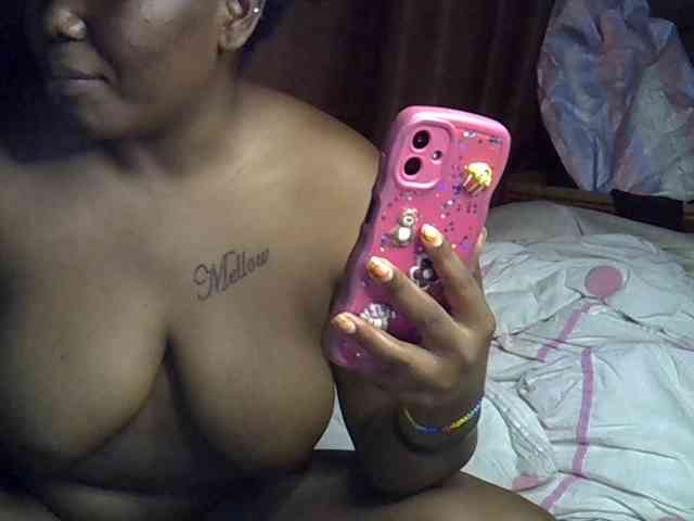 Casse-dellah webcam