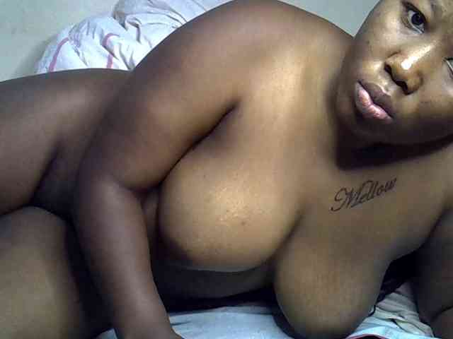 Casse-dellah webcam