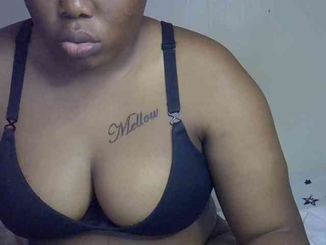 Casse-dellah webcam