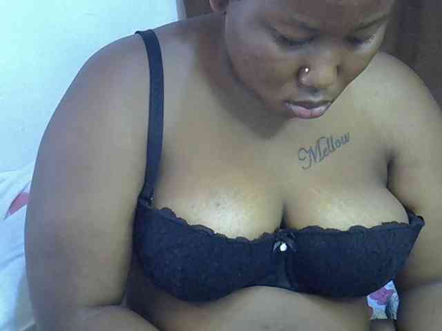 Casse-dellah webcam