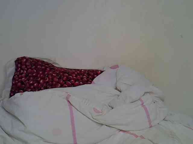 Casse-dellah webcam