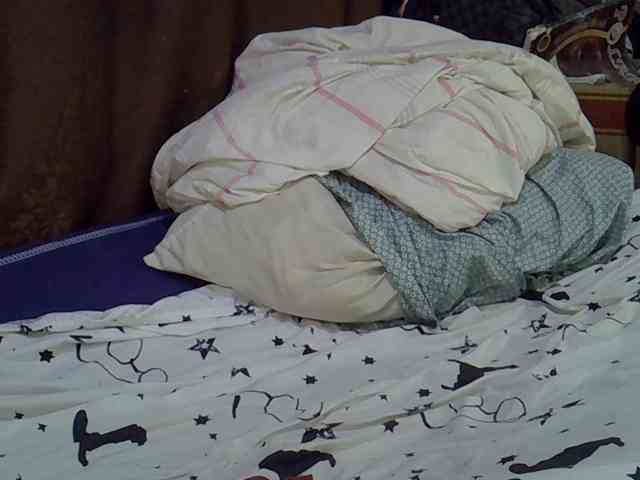 Casse-dellah webcam