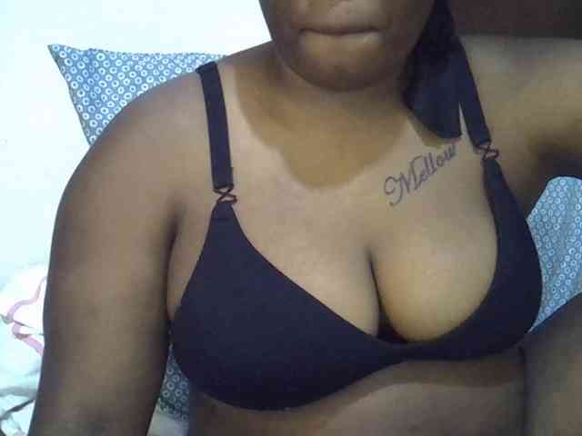 Casse-dellah webcam