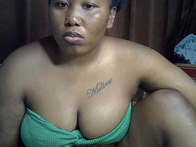 Casse-dellah webcam