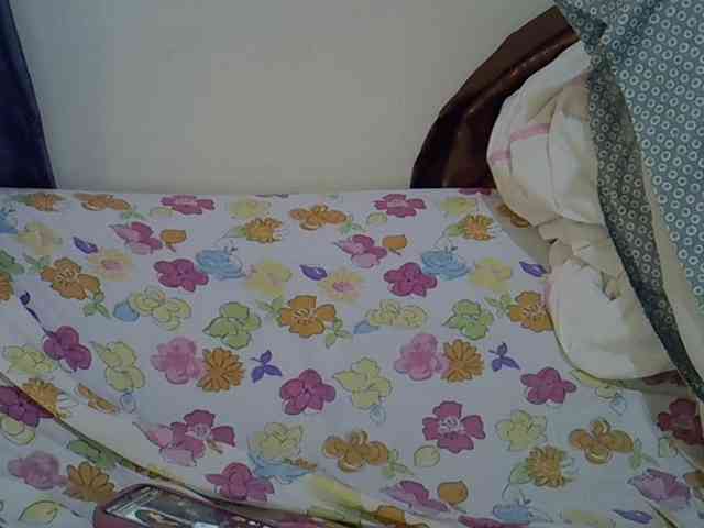 Casse-dellah webcam
