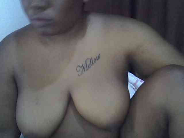Casse-dellah webcam
