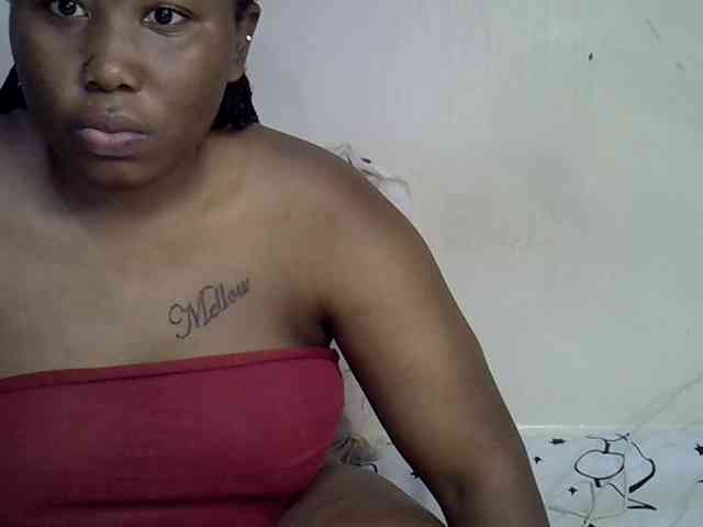 Casse-dellah webcam