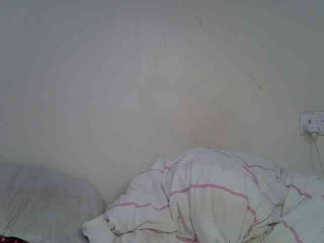 Casse-dellah webcam