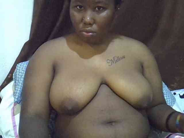 Casse-dellah webcam