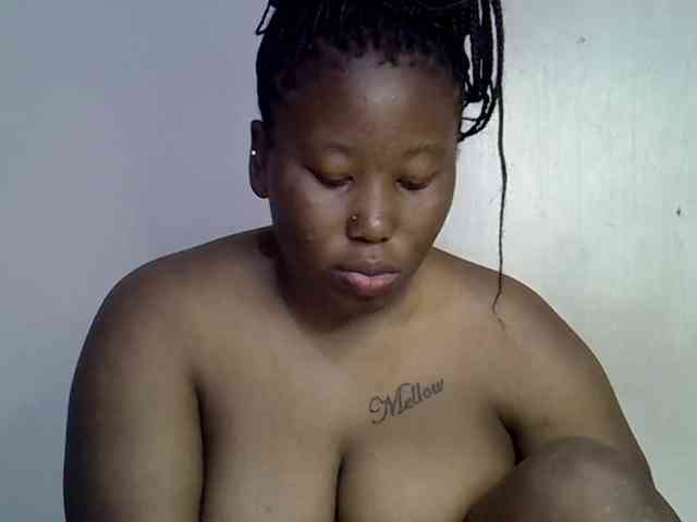 Casse-dellah webcam