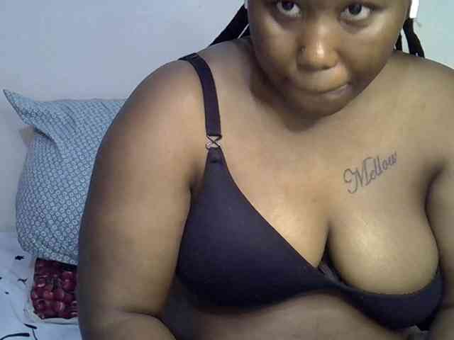 Casse-dellah webcam