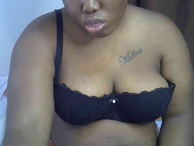 Casse-dellah webcam