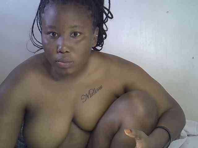 Casse-dellah webcam