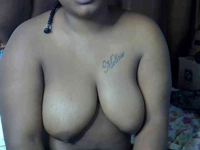 Casse-dellah webcam