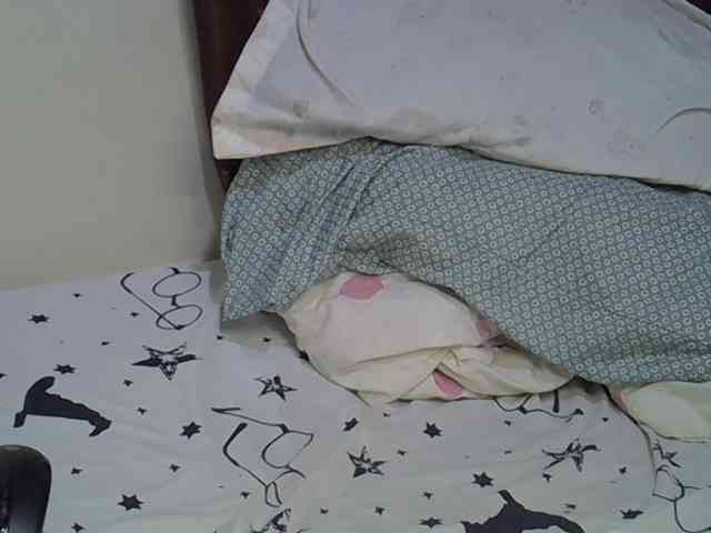 Casse-dellah webcam