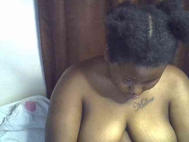 Casse-dellah webcam