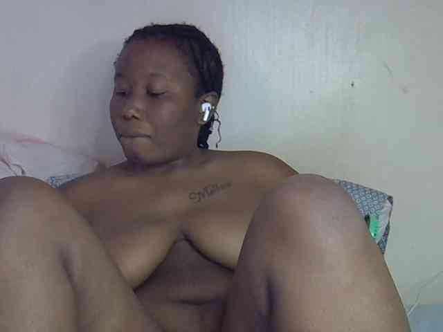 Casse-dellah webcam