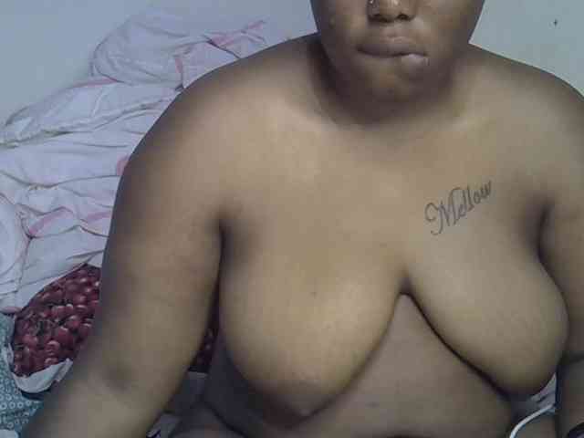 Casse-dellah webcam
