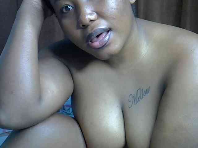 Casse-dellah webcam