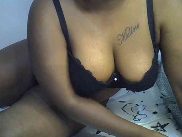 Casse-dellah webcam