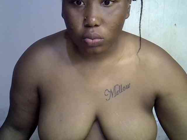 Casse-dellah webcam