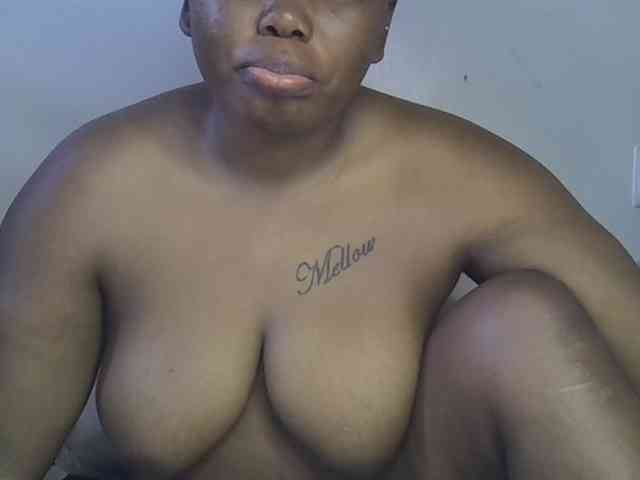 Casse-dellah webcam