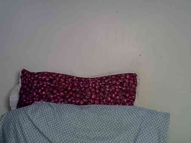 Casse-dellah webcam