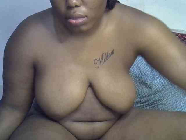 Casse-dellah webcam