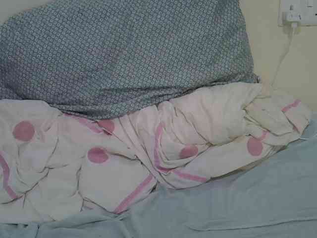 Casse-dellah webcam
