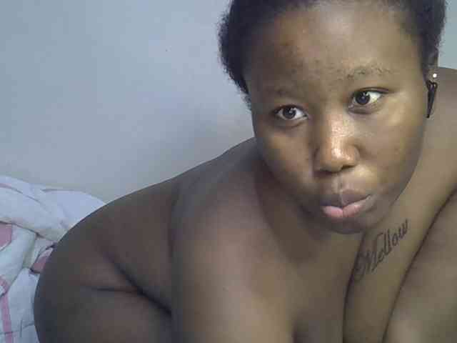 Casse-dellah webcam