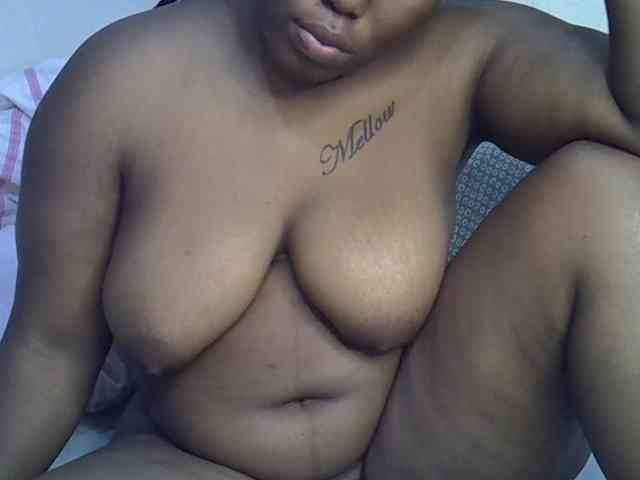 Casse-dellah webcam