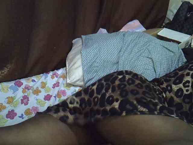 Casse-dellah webcam