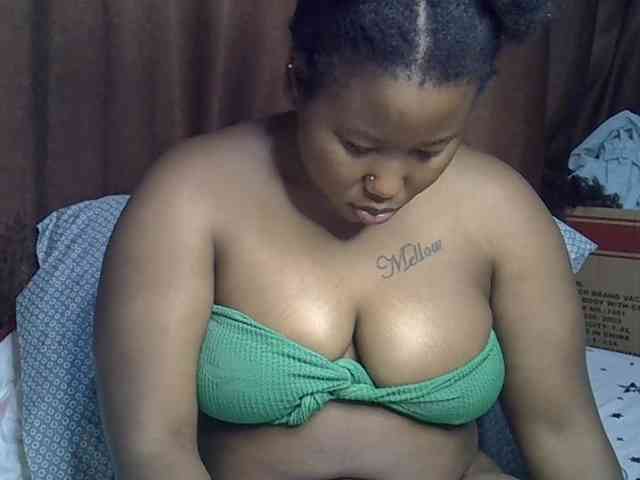 Casse-dellah webcam