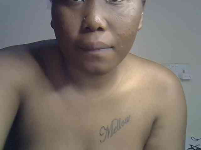 Casse-dellah webcam