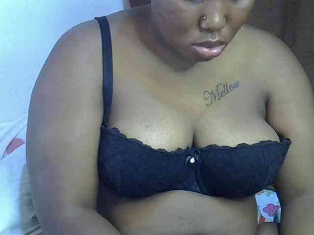 Casse-dellah webcam