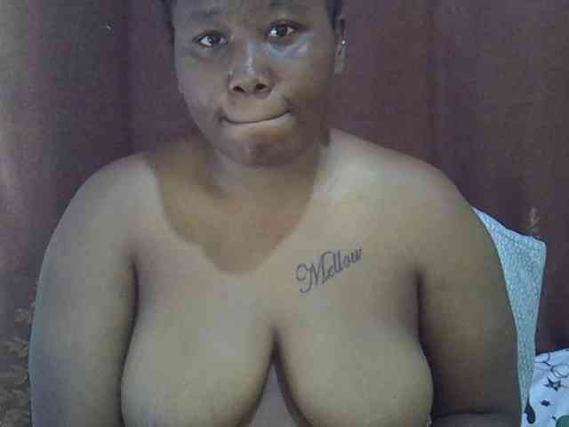Casse-dellah webcam