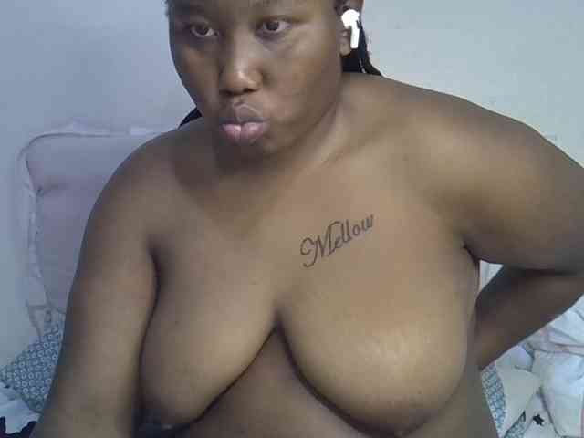 Casse-dellah webcam