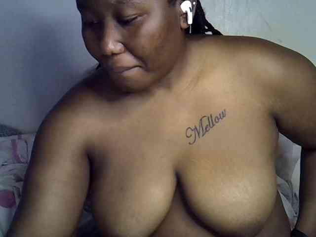 Casse-dellah webcam